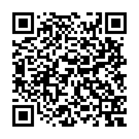QR code for 45P533