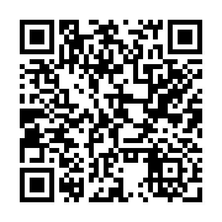 QR code for 45X333