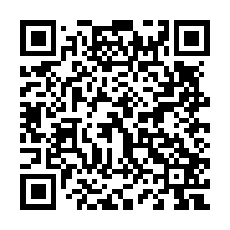 QR code for 460N03