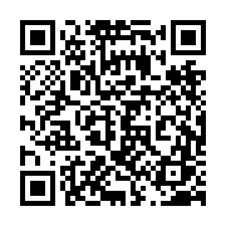 QR code for 460NFS