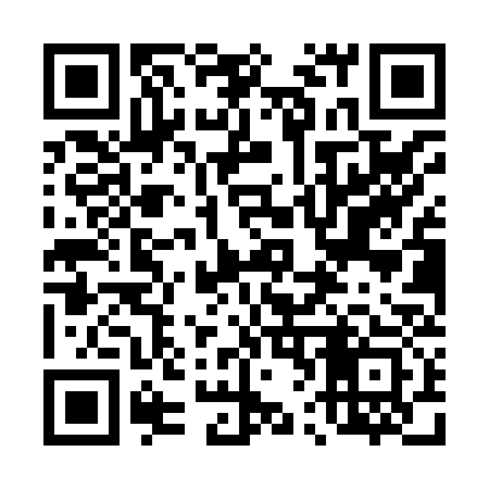 QR code for 460X33