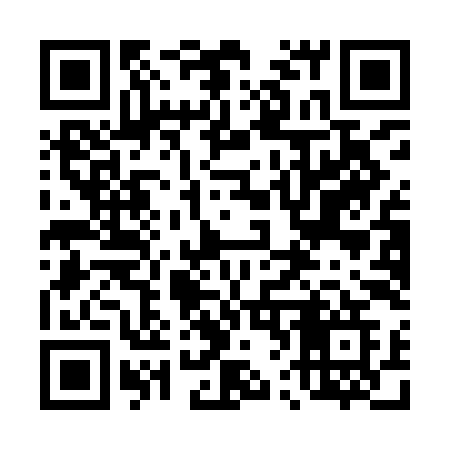QR code for 461IIG