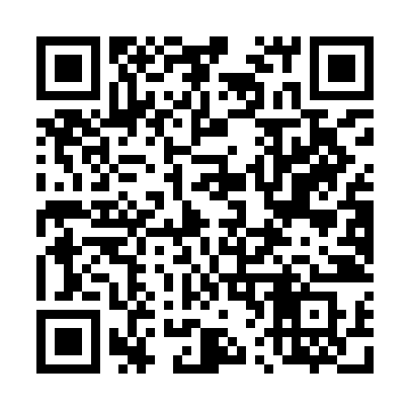 QR code for 461IJS
