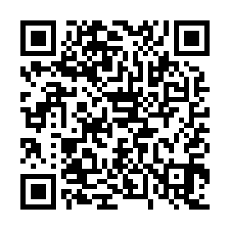 QR code for 461X11