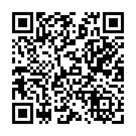QR code for 462C53