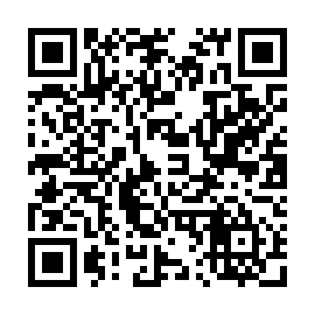QR code for 462O55