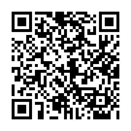 QR code for 462P02