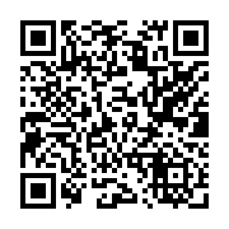 QR code for 462X19