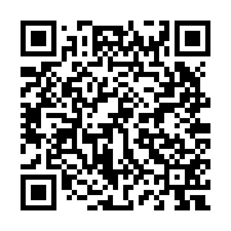 QR code for 462Z51