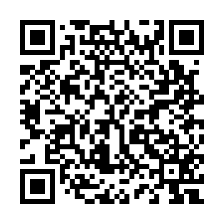 QR code for 463A55