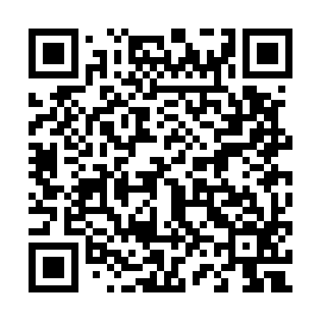 QR code for 463E96