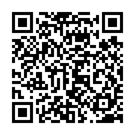 QR code for 463F95
