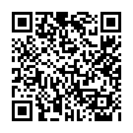 QR code for 463FYI