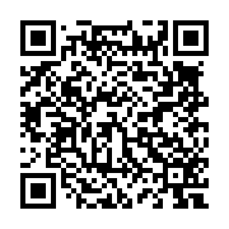 QR code for 463L56
