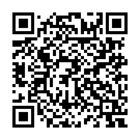 QR code for 463MIR