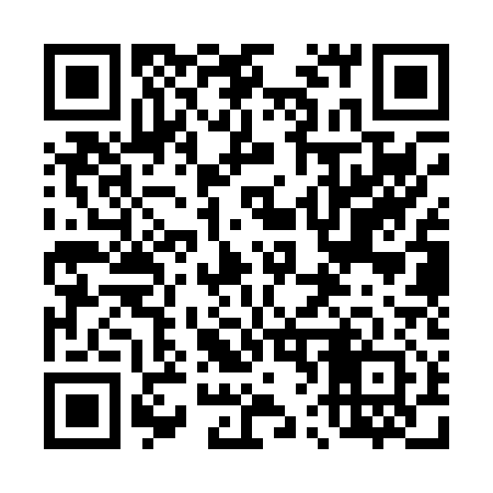 QR code for 463P12