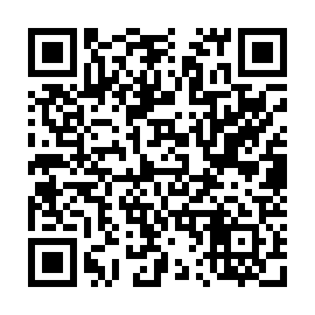 QR code for 463P21