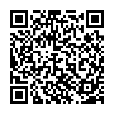 QR code for 46A311