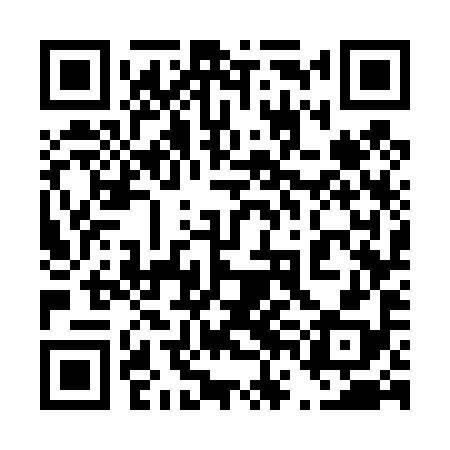 QR code for 46G498