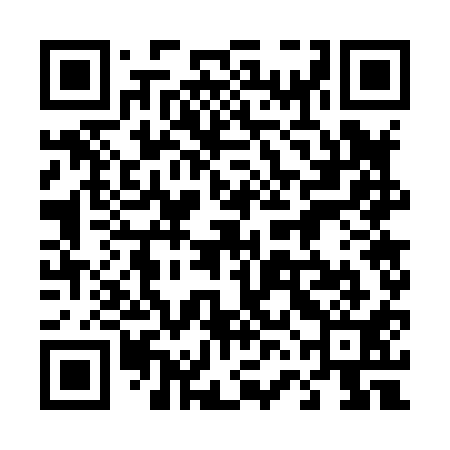 QR code for 46G811