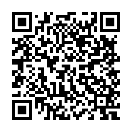 QR code for 46G841