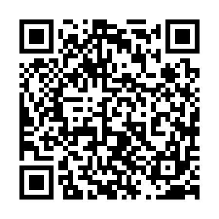 QR code for 46H317