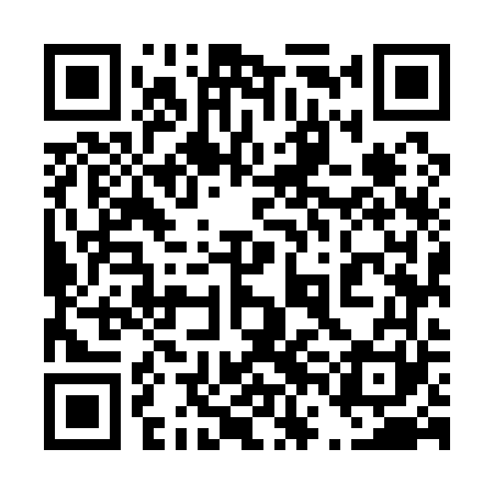 QR code for 46M161