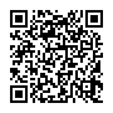 QR code for 46M938