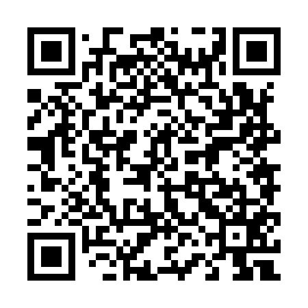 QR code for 46N955