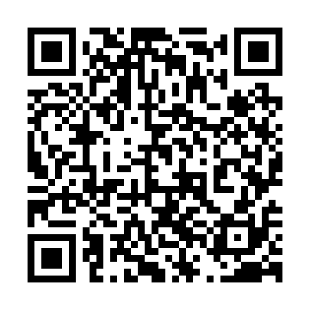 QR code for 46O210