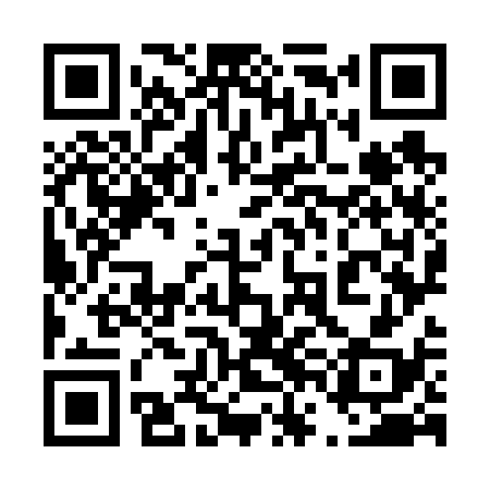 QR code for 46O638
