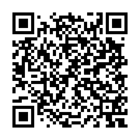 QR code for 46P050