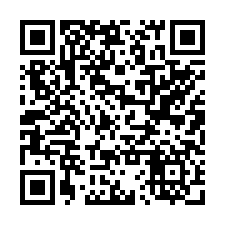 QR code for 46P287