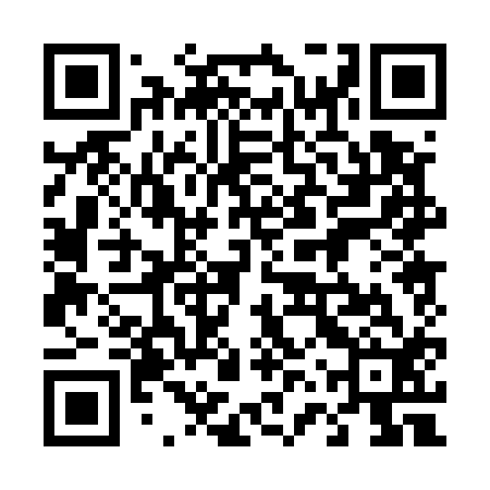 QR code for 46P512