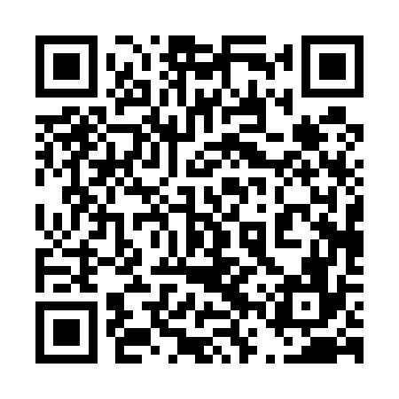 QR code for 46P576