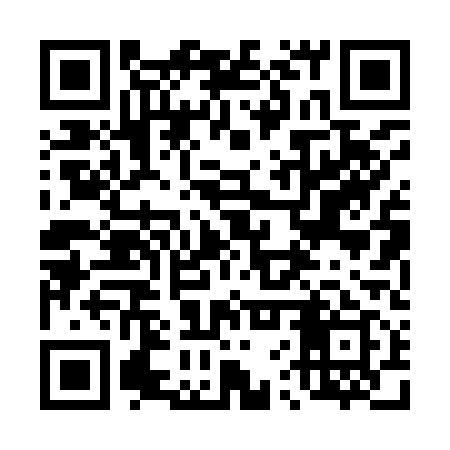 QR code for 46P919