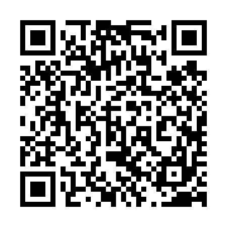 QR code for 46R617
