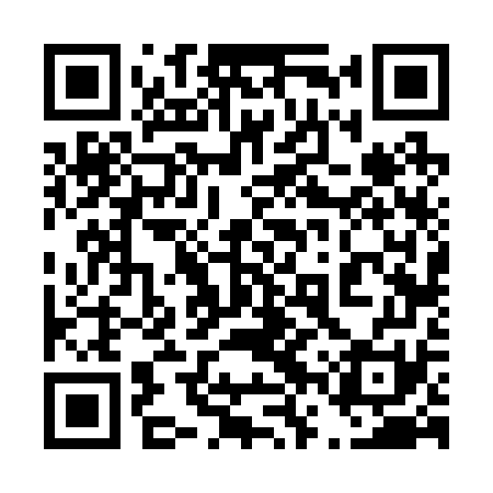QR code for 46V271