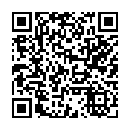 QR code for 46V919