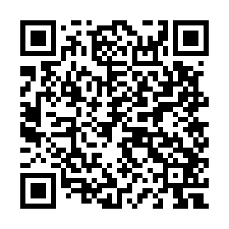 QR code for 46W542