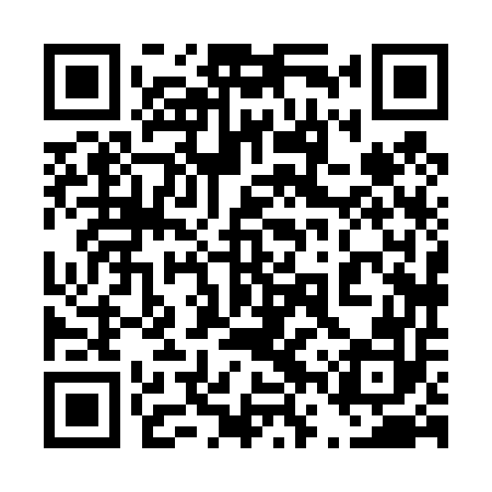 QR code for 46X452