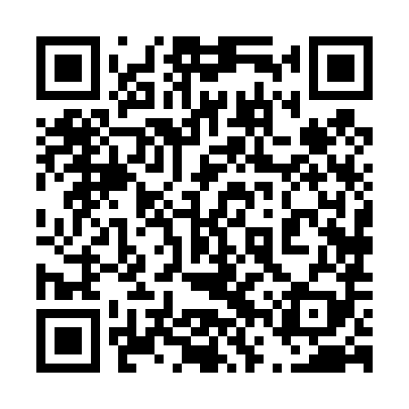 QR code for 46X489