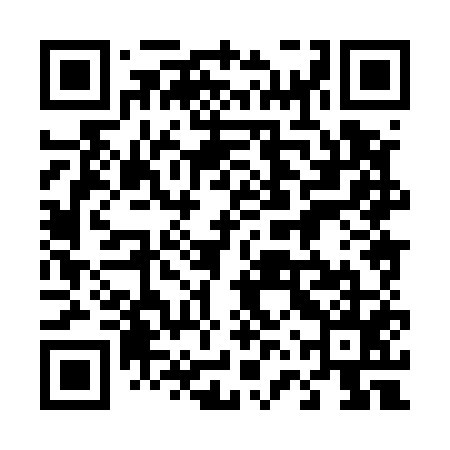 QR code for 46X555
