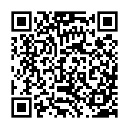 QR code for 46X585