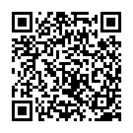 QR code for 46Y203