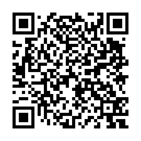 QR code for 46Y433
