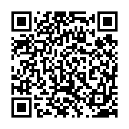 QR code for 46Z613