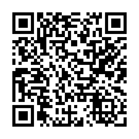QR code for 46Z991