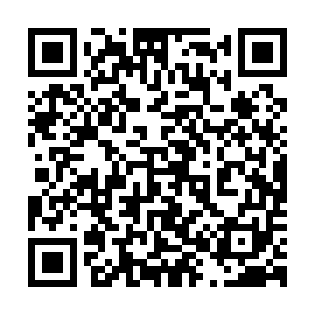 QR code for 480Q51