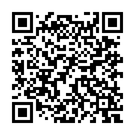 QR code for 489DLX